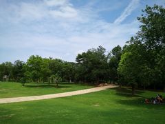 -盘龙城国家考古遗址公园