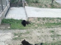 -石家庄市动物园