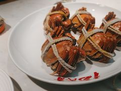 -杨氏青龙虾·羊蝎子(金盛路总店)