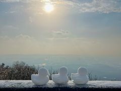 -紫金山山顶公园