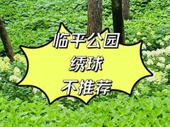 -临平公园(临平街道)