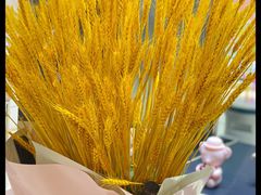 -上海颛桥万达广场