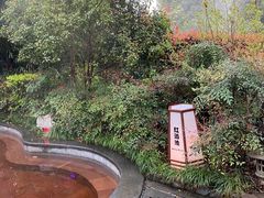 -杭州第一世界大酒店·云曼温泉