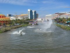 -上海海昌海洋公园
