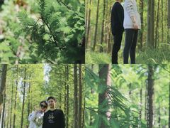 -黄海国家森林公园