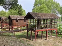 -洪湖生态旅游区