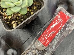 -苏宁易购(成都春熙路店)