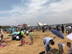 -碧海金沙