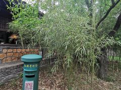 -红楼梦邮局