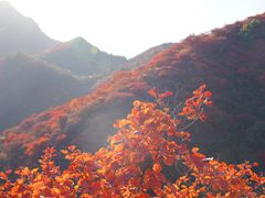 -水峪民俗村