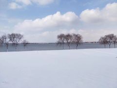 -漕湖湿地公园