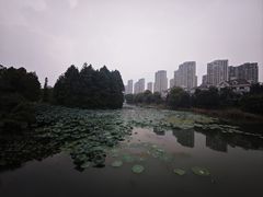 -白塘生态植物园