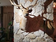 -卧龙岗文化园-南阳市汉画馆