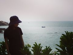 -广东惠东海龟国家级自然保护区