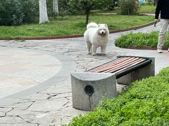 -兰岛广场(白沙路店)