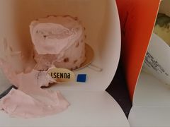 -罗森尼娜(德思勤店)