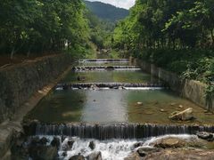 -广州白江湖森林公园