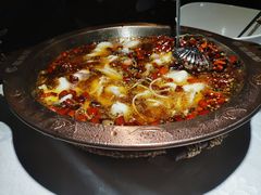 -雲蜀龙阁·金牌水煮鱼(方庄店)