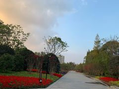 -上海市龙华烈士陵园