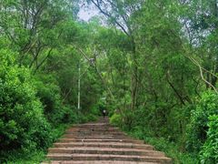 -仙岳公园