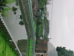 -美家乐农庄·露营·团建(大治路店)