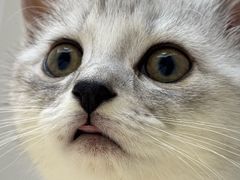 -博特宠物医院24h犬猫全科.骨科·异宠
