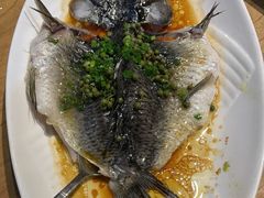 -鱼神·脆肉鲩 全鱼宴(西乡店)