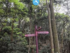 -梧桐山风景名胜区