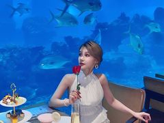 -涛·海底餐厅·美人鱼·自助餐·海底隧道(三亚海棠湾洲际度假酒店)