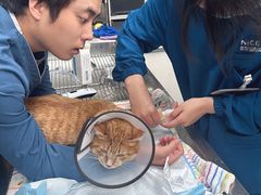 -奈斯宠物医院·核磁CT·异宠专科·内镜(中南店)