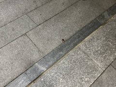 -北京索菲特大酒店