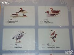 -北京麋鹿生态实验中心