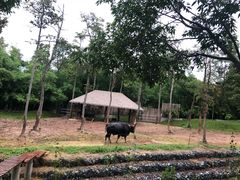 -清迈夜间动物园