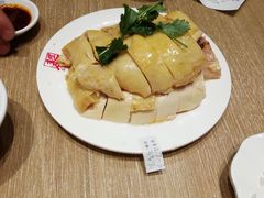 泰煌鸡-泰煌鸡·上海白斩鸡·鸡汤面(鹤庆店)