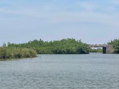 -宁波杭州湾国家湿地公园