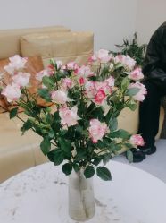 -吉艺心专业美发造型