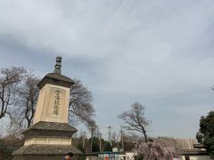 -西安青龙寺遗址景区