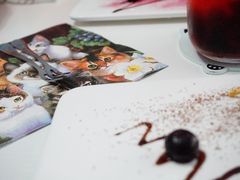 -喵的天空名猫咖啡馆·撸猫·猫舍·用品