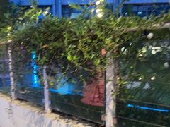 -CIAO·团建聚餐·生日派对轰趴馆(福田店)