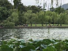 -西湖外事游船(花港观鱼码头)