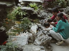 -广州白天鹅宾馆