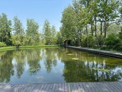 -溱湖国家湿地公园