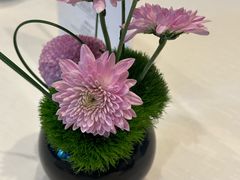 -香乐园·淮扬菜中餐厅·Shang Garden(福田香格里拉店)