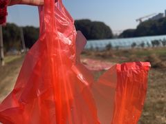 -胜丰草莓采摘园