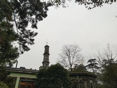 -浙江西子宾馆·牡丹厅