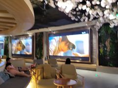 -星河湾温泉洗浴酒店