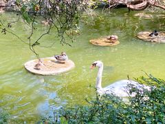 -昆明动物园