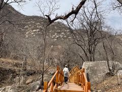 -大岭沟猕猴桃谷风景区