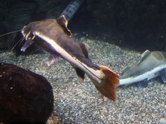 -太平洋海底世界