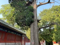 -北京国子监胡同